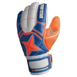 Derbystar Protect Basic AR Advance Torwarthandschuhe