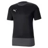 Puma TeamGoal 23 Training Jersey Herren Schwarz / Grau