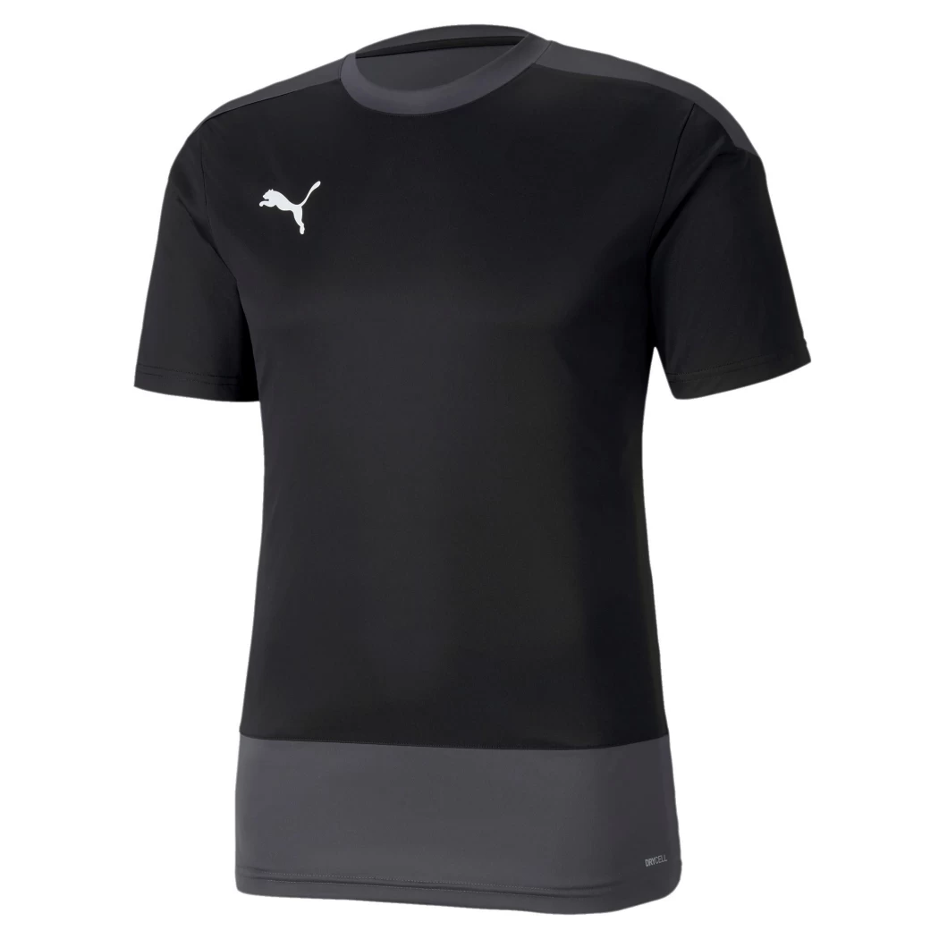 Puma TeamGoal 23 Training Jersey Herren Schwarz / Grau