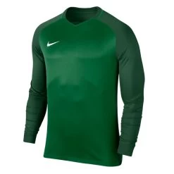 Nike Dry Team Trophy III Langarm Fußballtrikot