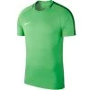 Nike Dry Academy 18 Trainings Top Grün