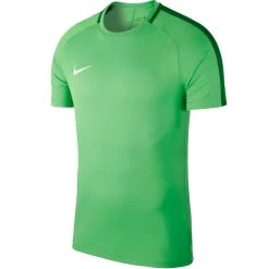 Nike Dry Academy 18 Trainings Top Grün