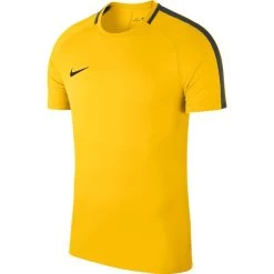 Nike Dry Academy 18 Trainings Top Gelb
