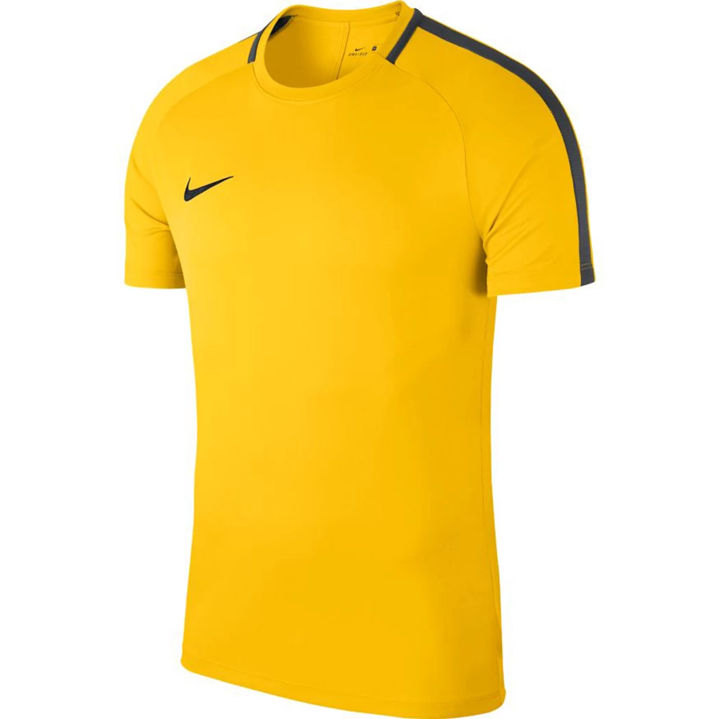 Nike Dry Academy 18 Trainings Top Gelb