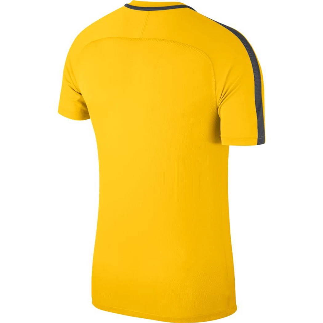 Nike Dry Academy 18 Trainings Top Gelb – Bild 2