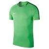 Nike Kinder Academy 18 Shirt Grün