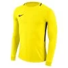 Nike Park III Torwart Trikot Gelb