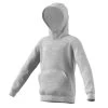 Adidas Kinder Core 15 Hoody Sweatshirt Grau