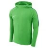 Nike Dry Academy 18 Hoodie Kapuzenpullover Grün