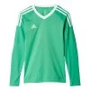 Adidas Kinder Revigo 17 Torwarttrikot Grün