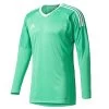 Adidas Revigo 17 Torwarttrikot Grün