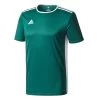 Adidas Entrada 18 Trikot Trainingsshirt Grün