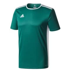 Adidas Entrada 18 Trikot Trainingsshirt Grün