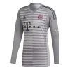 Adidas Bayern München Torwarttrikot 2018/2019 Grau