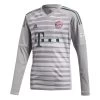 Adidas Kinder Bayern München Torwarttrikot 2018/2019 Grau