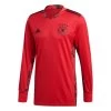Adidas DFB Home Torwart Trikot EM 2020 Rot