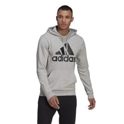 Adidas Essentials Big Logo Hoodie Kapuzenpullover Herren Grau / Schwarz