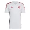 Adidas FC Bayern München Condivo 22 Trainingstrikot 2022 / 2023 Weiß / Rot
