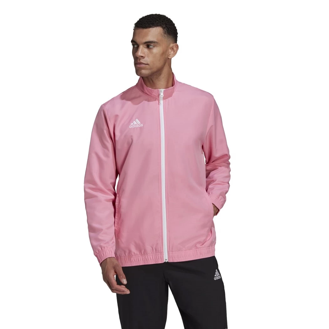 Adidas Entrada 22 Präsentationsjacke Herren Hell Pink Rosa