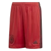 Adidas Kinder DFB Home Torwart Shorts EM 2020 Rot